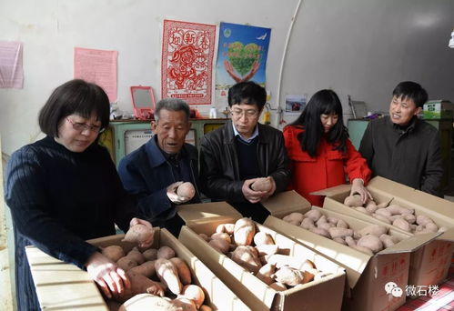 縣商務中心創新舉措 農產品‘五進’對接促銷與圍棋培訓同步開展